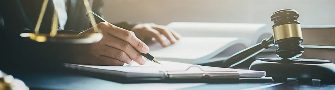 The Role of an Expert Witness